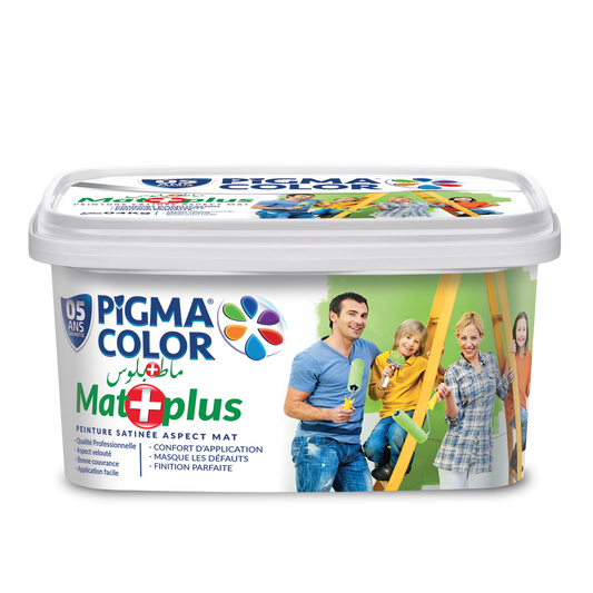 PEINTURE MATE